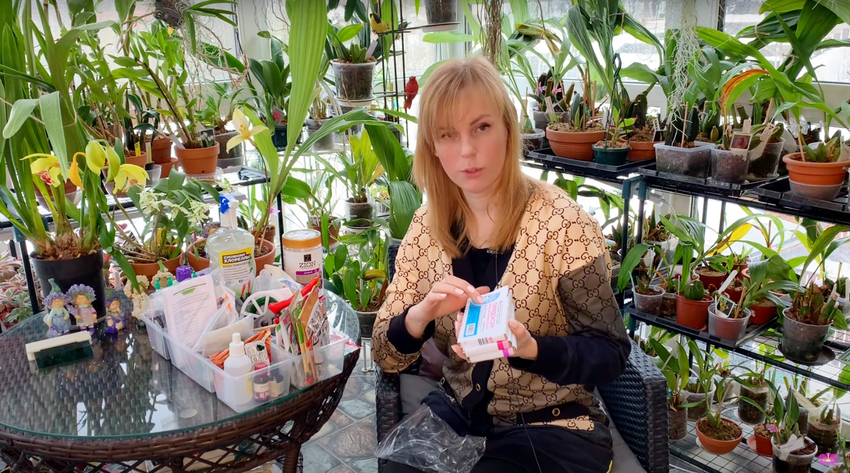 Эстафета «Что в сумочке у моих орхидей» удобрения и препараты