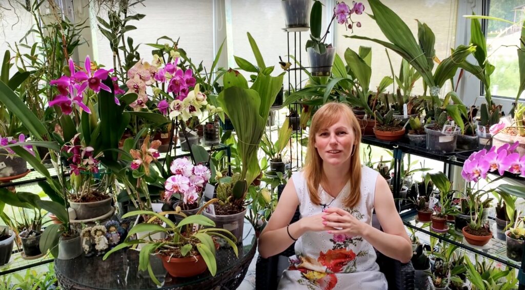 Орхидейная эстафета: Три самые дорогие орхидеи
