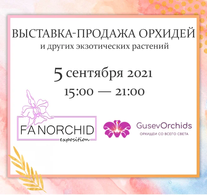Выставка-продажа орхидей 5 сентября 2021