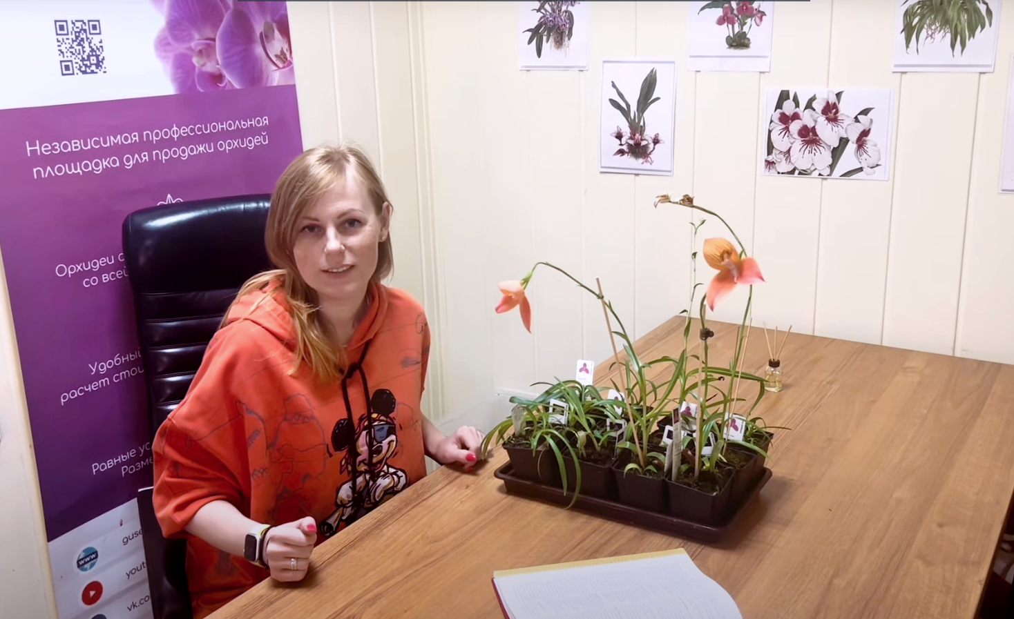 Орхидея Диза: основы ухода