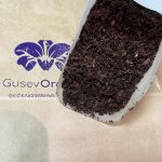 Кора сосны Стандарт фракция 0-1 см